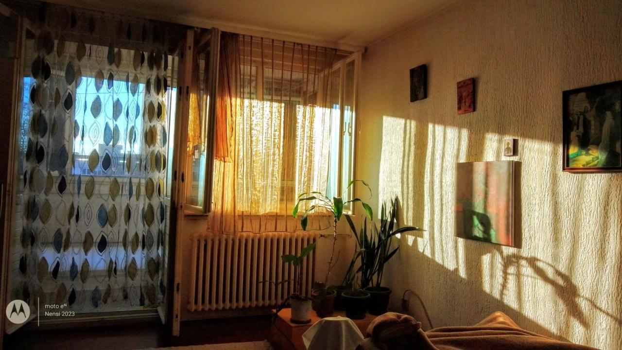 Апартаменты Men Who Knit Белград Экстерьер фото